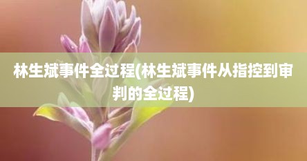 林生斌事件全过程(林生斌事件从指控到审判的全过程)