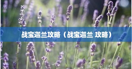 战宝迦兰攻略（战宝迦兰 攻略）