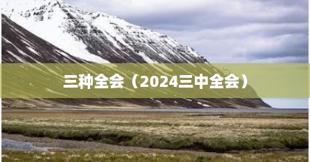 三种全会（2024三中全会）