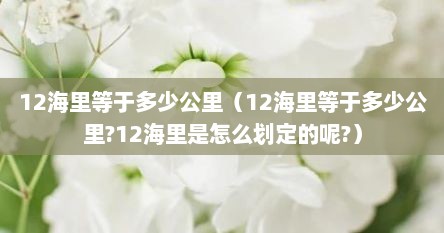 12海里等于多少公里（12海里等于多少公里?12海里是怎么划定的呢?）