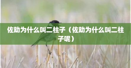 佐助为什么叫二柱子（佐助为什么叫二柱子呢）