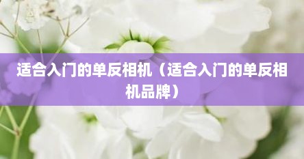 适合入门的单反相机（适合入门的单反相机品牌）