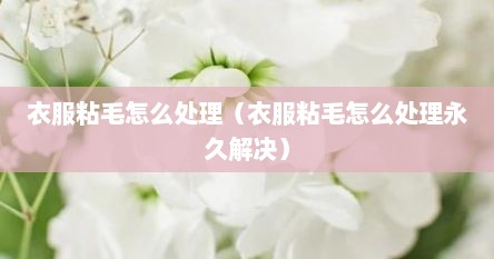 衣服粘毛怎么处理（衣服粘毛怎么处理永久解决）