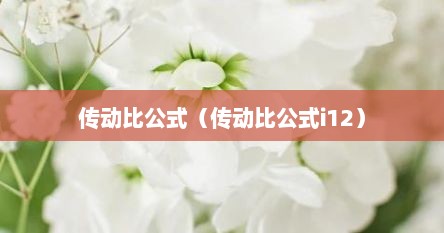 传动比公式（传动比公式i12）