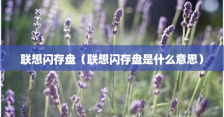 联想闪存盘（联想闪存盘是什么意思）