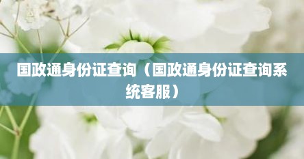 国政通身份证查询（国政通身份证查询系统客服）