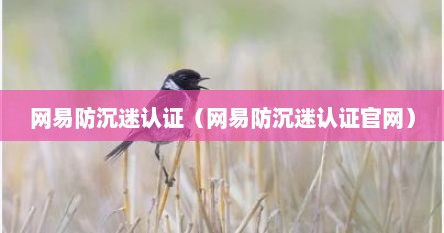 网易防沉迷认证（网易防沉迷认证官网）