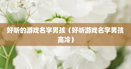 好听的游戏名字男孩（好听游戏名字男孩高冷）