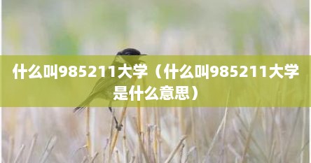 什么叫985211大学（什么叫985211大学是什么意思）