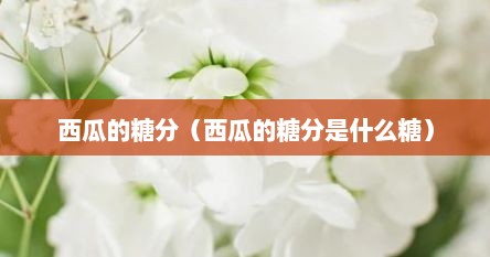 西瓜的糖分（西瓜的糖分是什么糖）