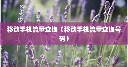 移动手机流量查询（移动手机流量查询号码）