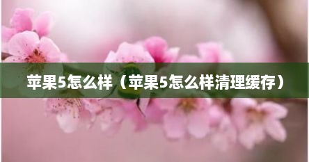 苹果5怎么样（苹果5怎么样清理缓存）