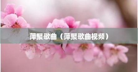 萍聚歌曲（萍聚歌曲视频）