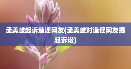 孟美岐起诉造谣网友(孟美岐对造谣网友提起诉讼)