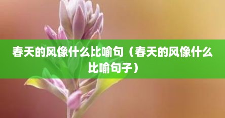 春天的风像什么比喻句（春天的风像什么比喻句子）