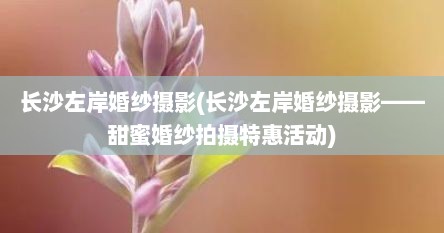 长沙左岸婚纱摄影(长沙左岸婚纱摄影——甜蜜婚纱拍摄特惠活动)