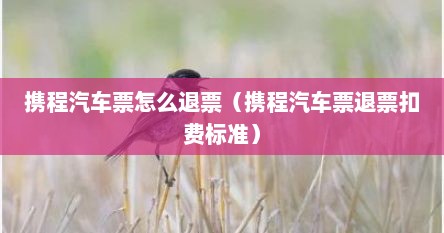 携程汽车票怎么退票（携程汽车票退票扣费标准）