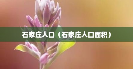 石家庄人口（石家庄人口面积）