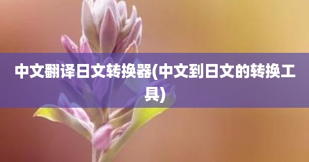 中文翻译日文转换器(中文到日文的转换工具)