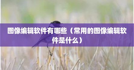 图像编辑软件有哪些（常用的图像编辑软件是什么）