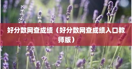 好分数网查成绩（好分数网查成绩入口教师版）