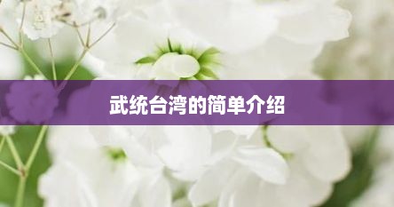 武统台湾的简单介绍