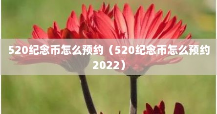 520纪念币怎么预约（520纪念币怎么预约2022）