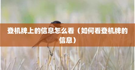 登机牌上的信息怎么看（如何看登机牌的信息）