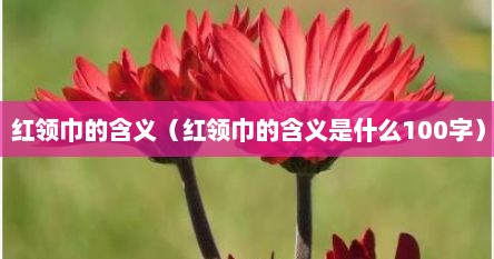 红领巾的含义（红领巾的含义是什么100字）