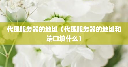 代理服务器的地址（代理服务器的地址和端口填什么）