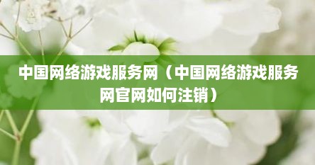 中国网络游戏服务网（中国网络游戏服务网官网如何注销）