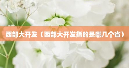 西部大开发（西部大开发指的是哪几个省）