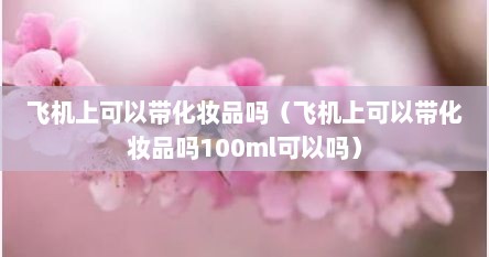 飞机上可以带化妆品吗（飞机上可以带化妆品吗100ml可以吗）