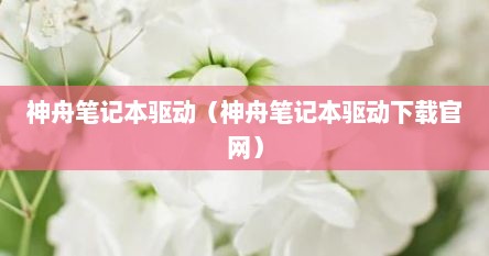 神舟笔记本驱动（神舟笔记本驱动下载官网）