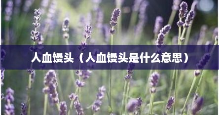 人血馒头（人血馒头是什么意思）