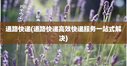 通路快递(通路快递高效快递服务一站式解决)