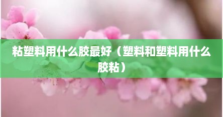 粘塑料用什么胶最好（塑料和塑料用什么胶粘）