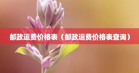 邮政运费价格表（邮政运费价格表查询）