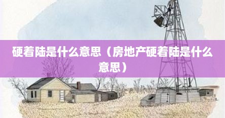 硬着陆是什么意思（房地产硬着陆是什么意思）