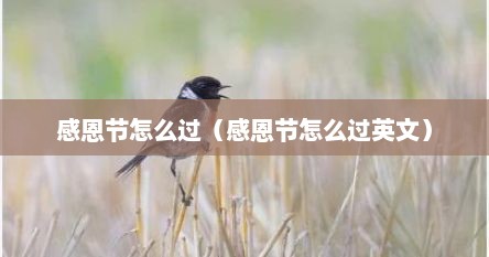 感恩节怎么过（感恩节怎么过英文）