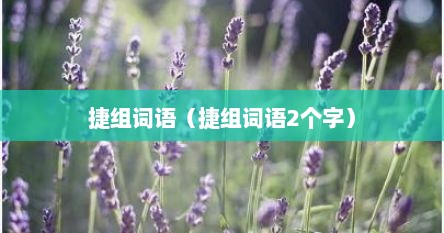 捷组词语（捷组词语2个字）