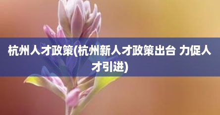 杭州人才政策(杭州新人才政策出台 力促人才引进)