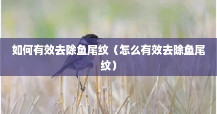 如何有效去除鱼尾纹（怎么有效去除鱼尾纹）