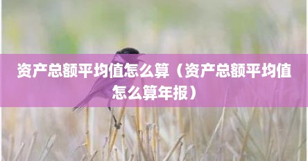 资产总额平均值怎么算（资产总额平均值怎么算年报）