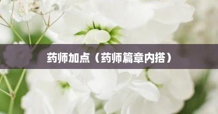 药师加点（药师篇章内搭）