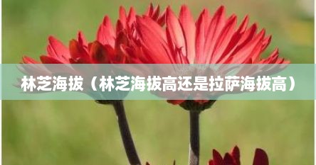 林芝海拔（林芝海拔高还是拉萨海拔高）