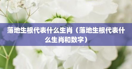 落地生根代表什么生肖（落地生根代表什么生肖和数字）