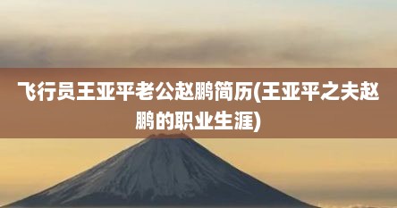 飞行员王亚平老公赵鹏简历(王亚平之夫赵鹏的职业生涯)