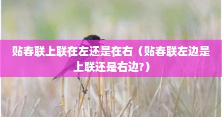 贴春联上联在左还是在右（贴春联左边是上联还是右边?）