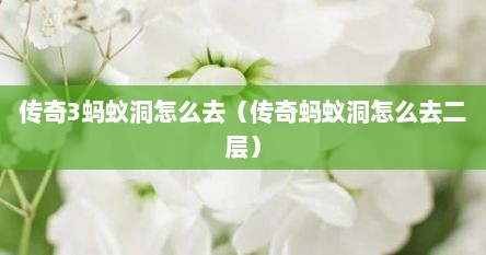 传奇3蚂蚁洞怎么去（传奇蚂蚁洞怎么去二层）